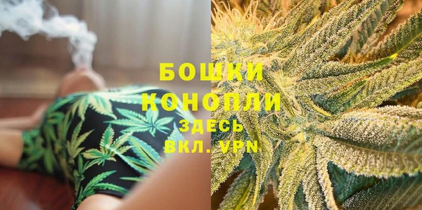 индика Пересвет