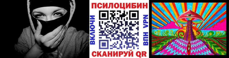 где продают наркотики  Киренск  omg ТОР  Псилоцибиновые грибы Cubensis 